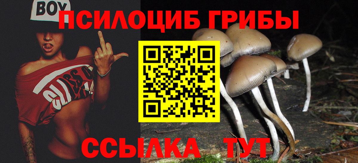 что такое   Галлюциногенные грибы Psilocybe  Вход с VPN  Новочебоксарск 